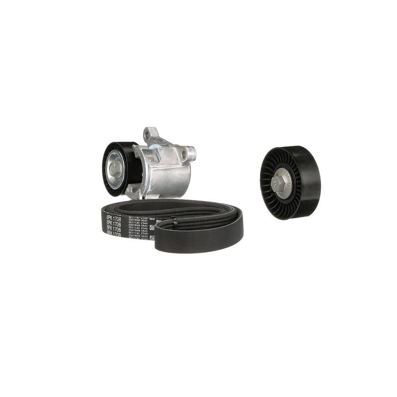 Gates K016PK1708 V-ribbed Belt Set - 6