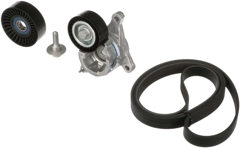 Gates K016PK1725 V-ribbed Belt Set - 1