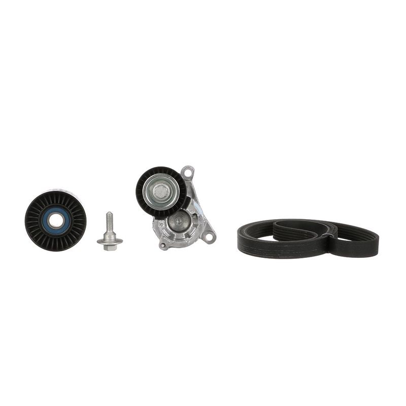 Gates K016PK1725 V-ribbed Belt Set - 2