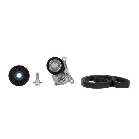 Gates K016PK1725 V-ribbed Belt Set - 2
