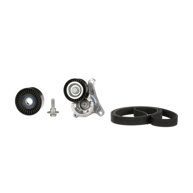 Gates K016PK1725 V-ribbed Belt Set - 3