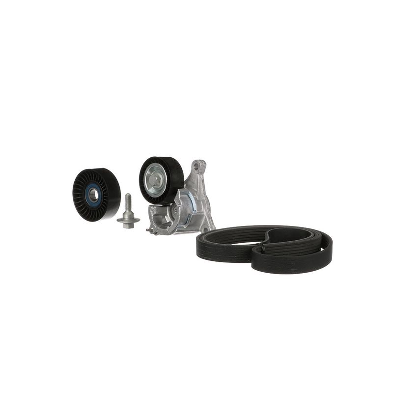 Gates K016PK1725 V-ribbed Belt Set - 5