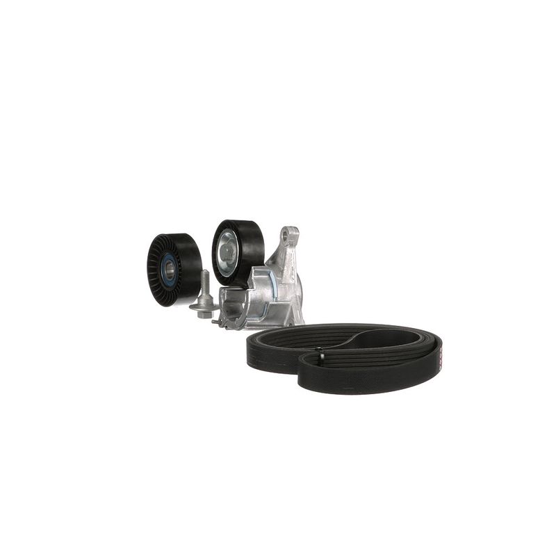Gates K016PK1725 V-ribbed Belt Set - 6
