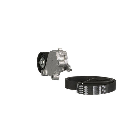 Gates K016PK965 V-ribbed Belt Set - 6