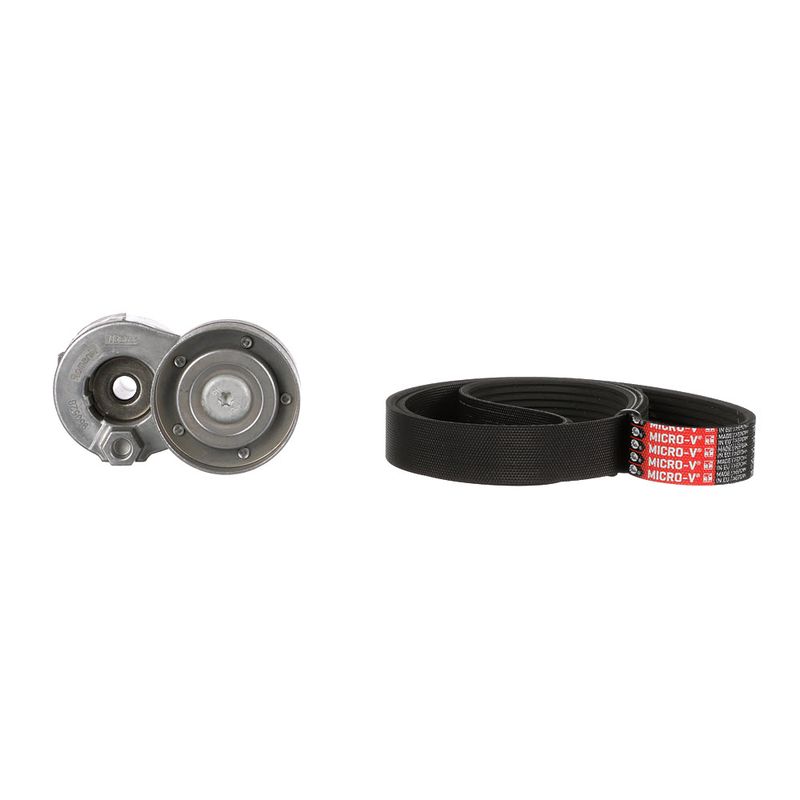 Gates K017PK1125 V-ribbed Belt Set - 2
