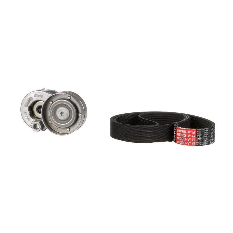Gates K017PK1125 V-ribbed Belt Set - 3