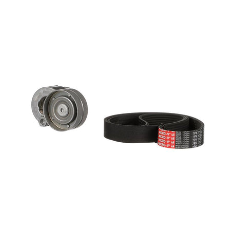 Gates K017PK1125 V-ribbed Belt Set - 4