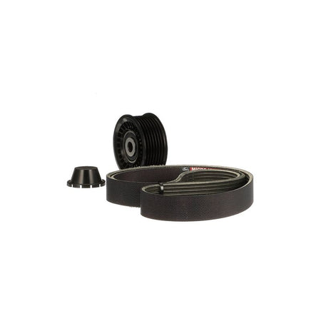Gates K017PK1179SF V-ribbed Belt Set - 6