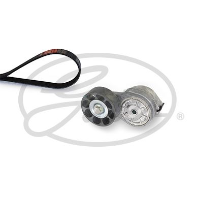 Gates K017PK1580 V-ribbed Belt Set - 1
