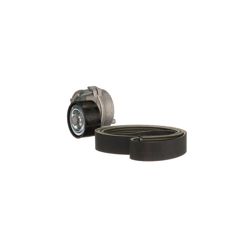 Gates K017PK1705 V-ribbed Belt Set - 6
