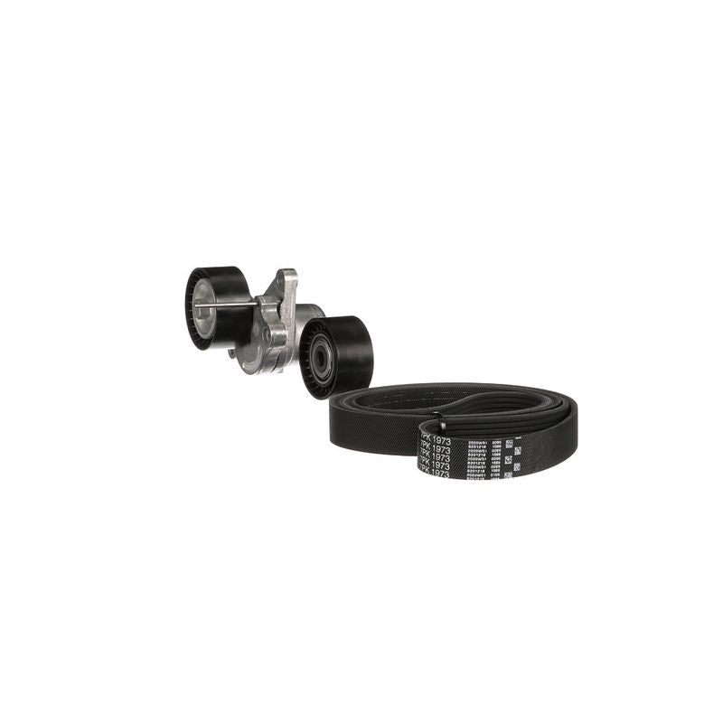 Gates K017PK1973 V-ribbed Belt Set - 6