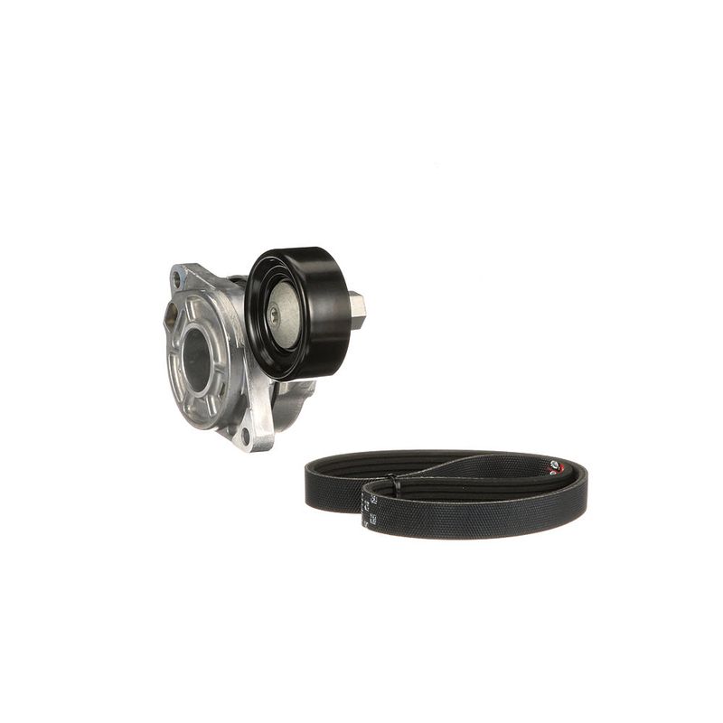 Gates K025PK1138 V-ribbed Belt Set - 6