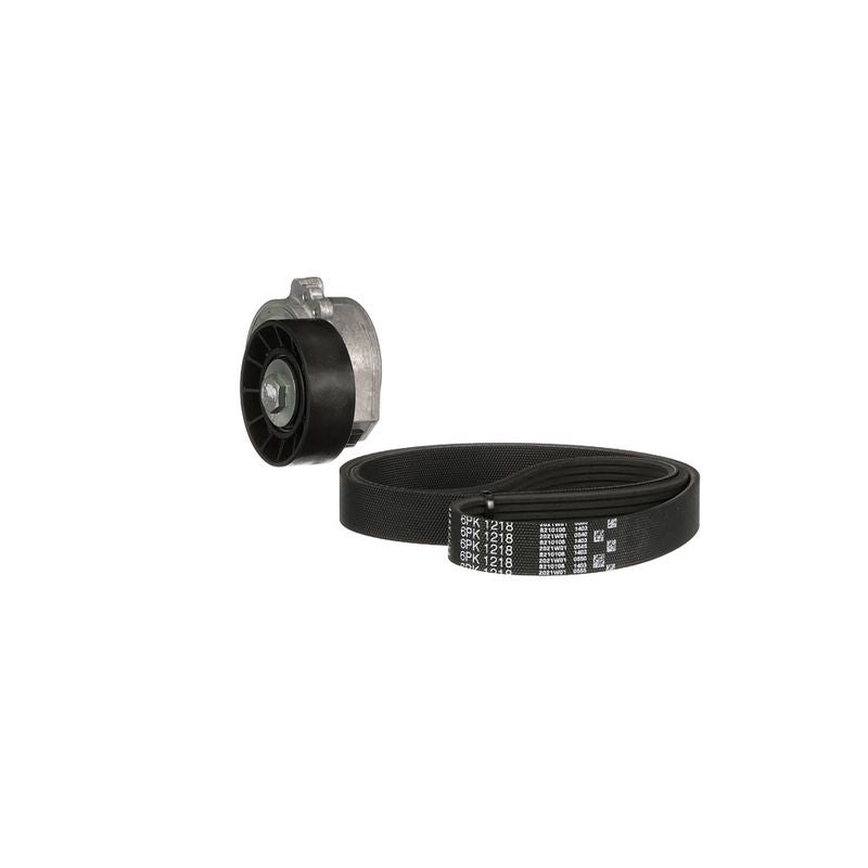 Gates K026PK1218 V-ribbed Belt Set - 6