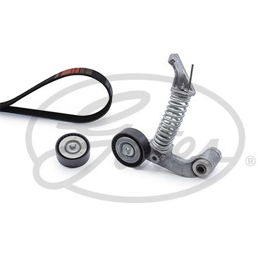 Gates K035PK1745 V-ribbed Belt Set - 1
