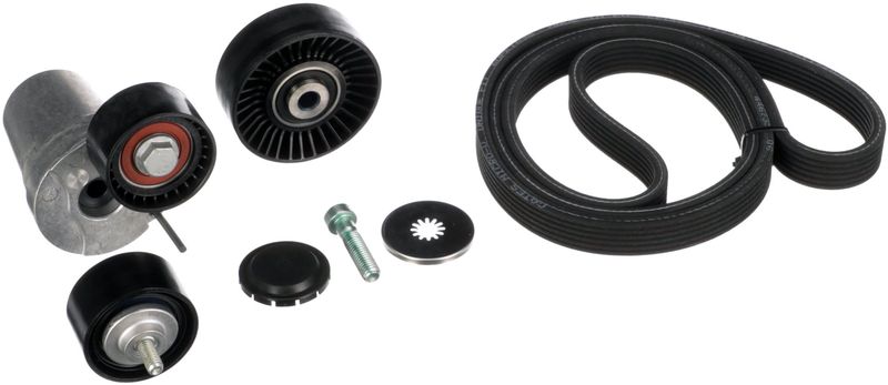 Gates K036DPK1698 V-ribbed Belt Set - 1