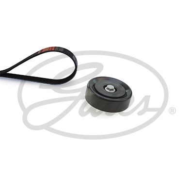 Gates K036PK1255 V-ribbed Belt Set - 1