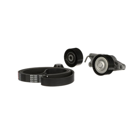 Gates K036PK1565 V-ribbed Belt Set - 5