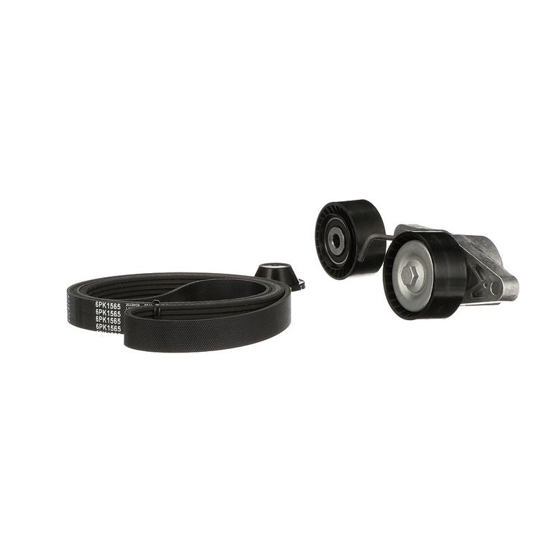 Gates K036PK1565 V-ribbed Belt Set - 6