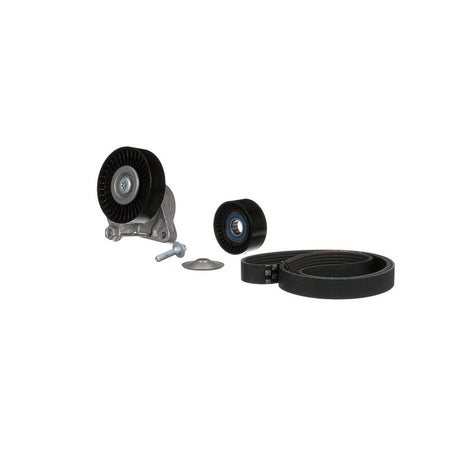 Gates K036PK2448 V-ribbed Belt Set - 5