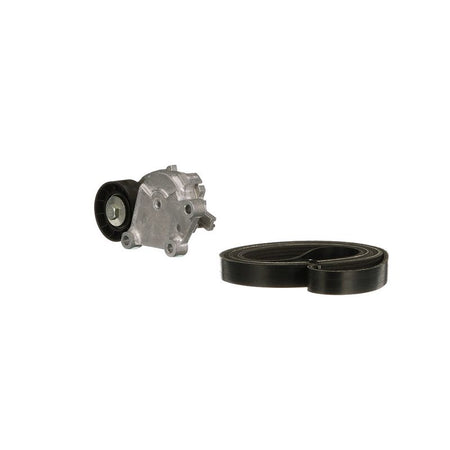 Gates K036PK965 V-ribbed Belt Set - 5