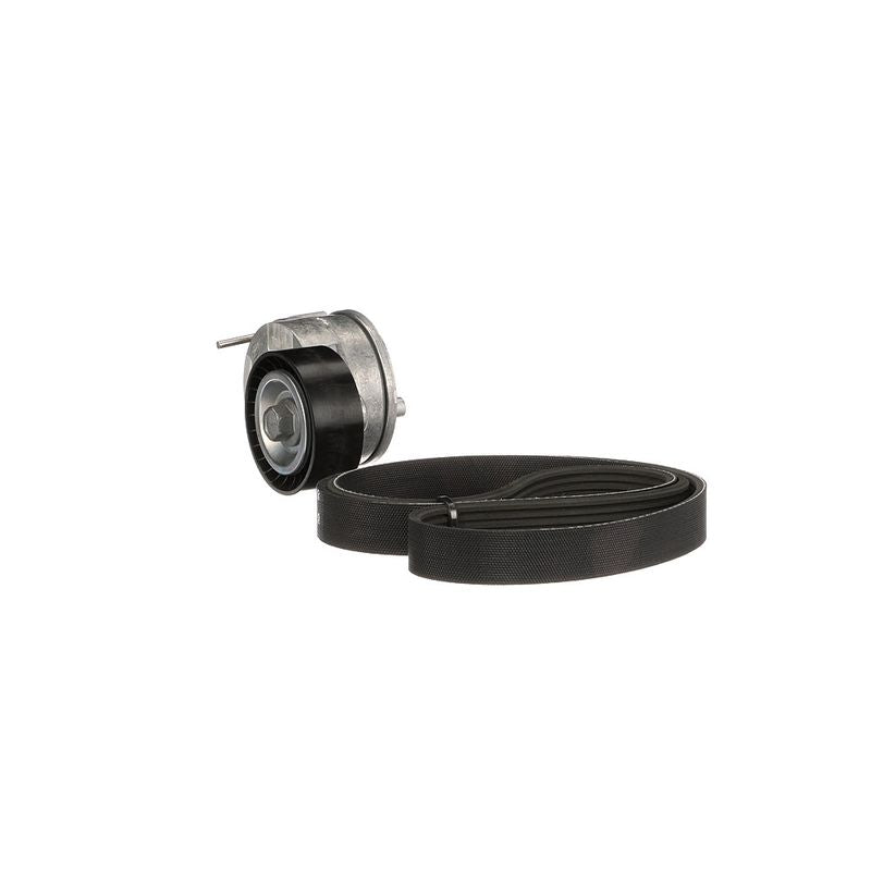 Gates K046PK1245 V-ribbed Belt Set - 6