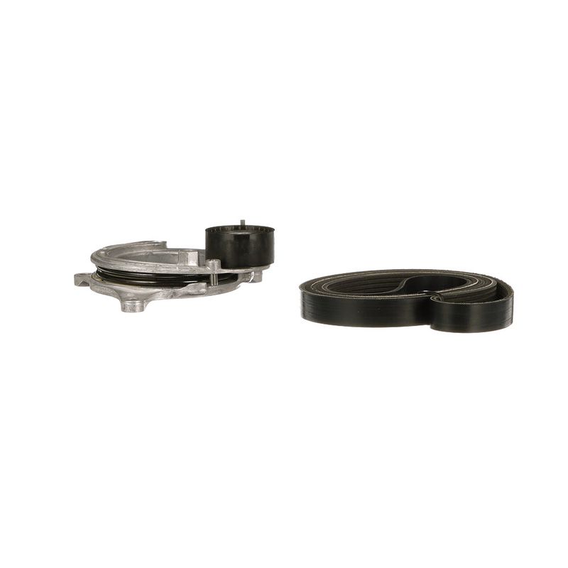 Gates K106PK1173 V-ribbed Belt Set - 4