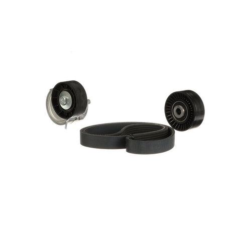 Gates K116PK1745 V-ribbed Belt Set - 5