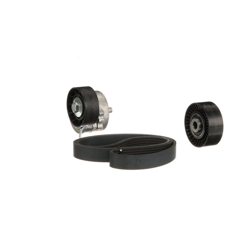Gates K116PK1745 V-ribbed Belt Set - 6