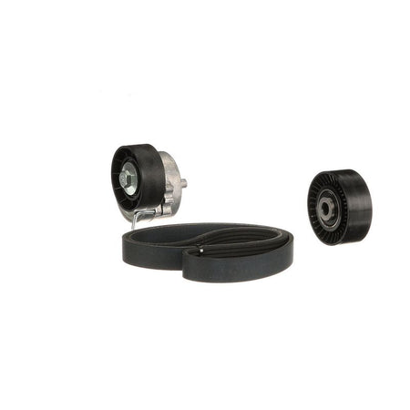 Gates K116PK1745 V-ribbed Belt Set - 6