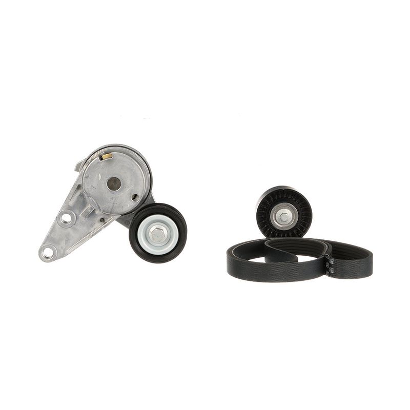 Gates K286PK1555 V-ribbed Belt Set - 2