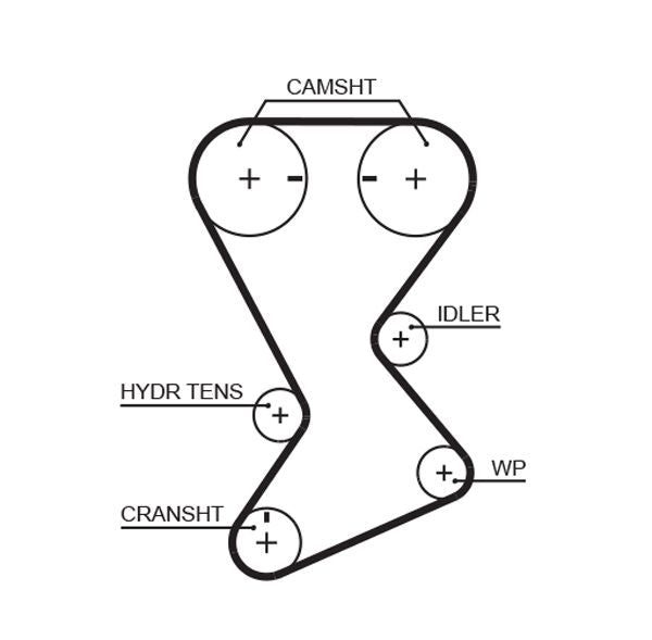 Gates T246 Timing Belt - 1