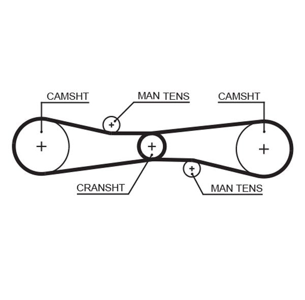Gates T275 Timing Belt - 1