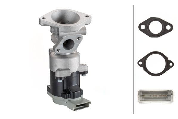 Hella 6NU 010 171-821 EGR Valve - 1