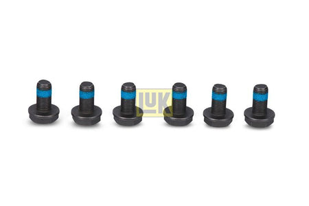 LUK 411000710 Screw Set, flywheel - 2