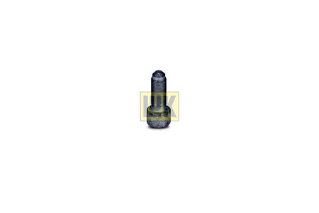LUK 411015010 Screw Set, flywheel - 2