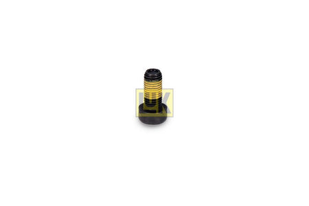 LUK 411019910 Screw Set, flywheel - 2
