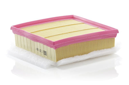 Mann & Hummel C20106/1 Air Filter - 1