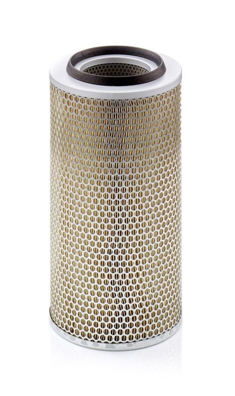 Mann & Hummel C20325/2 Air Filter - 1