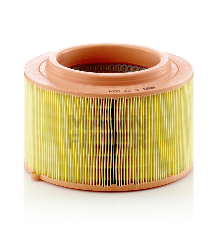 Mann & Hummel C22024 Air Filter - 1