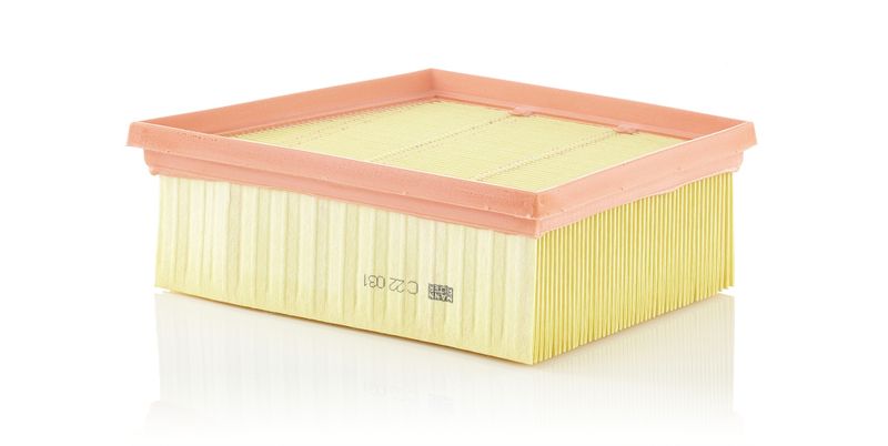 Mann & Hummel C22031 Air Filter - 1
