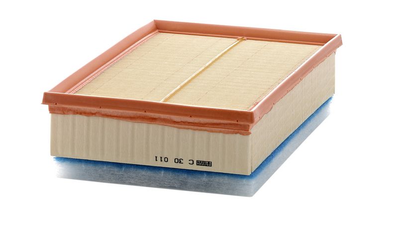 Mann & Hummel C30011 Air Filter - 1