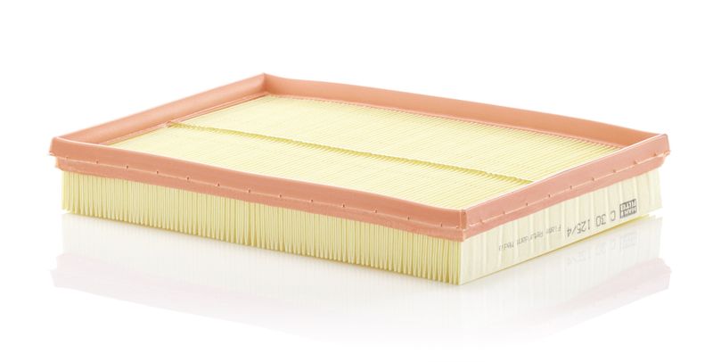 Mann & Hummel C30125/4 Air Filter - 1
