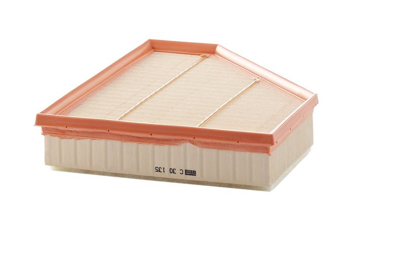 Mann & Hummel C30135 Air Filter - 1