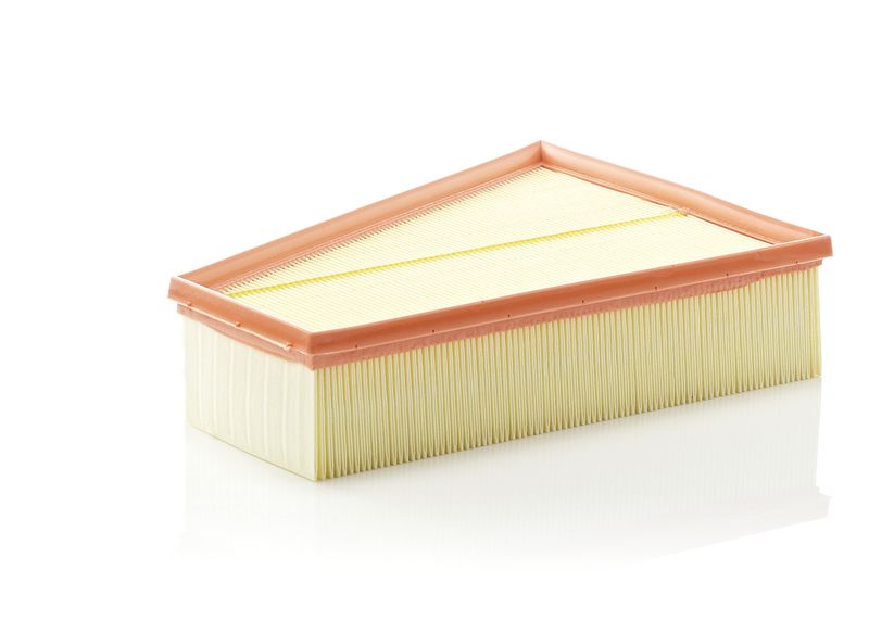 Mann & Hummel C30161 Air Filter - 1