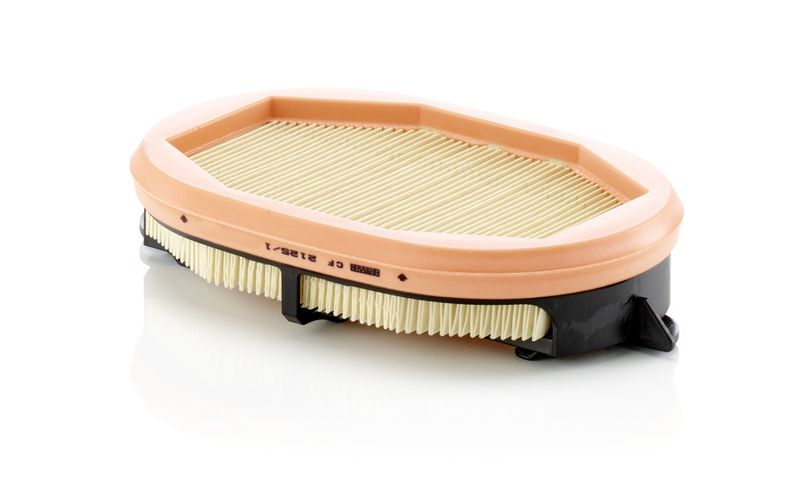 Mann & Hummel CF2125/1 Secondary Air Filter - 1