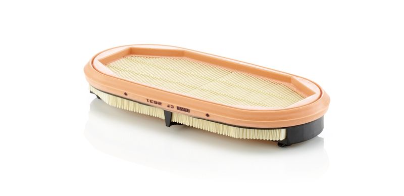 Mann & Hummel CF2631 Secondary Air Filter - 1