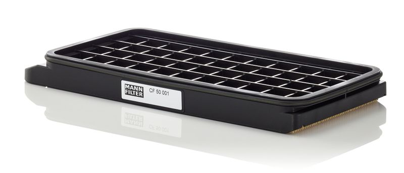 Mann & Hummel CF50001 Secondary Air Filter - 1