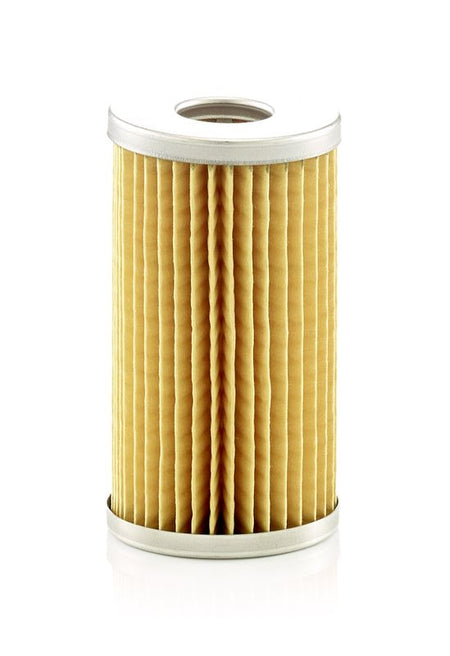 Mann & Hummel P5006 Fuel Filter - 1