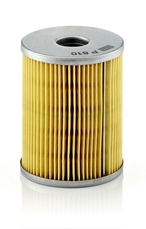 Mann & Hummel P810X Fuel Filter - 1