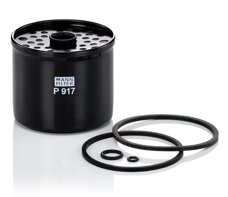 Mann & Hummel P917X Fuel Filter - 1